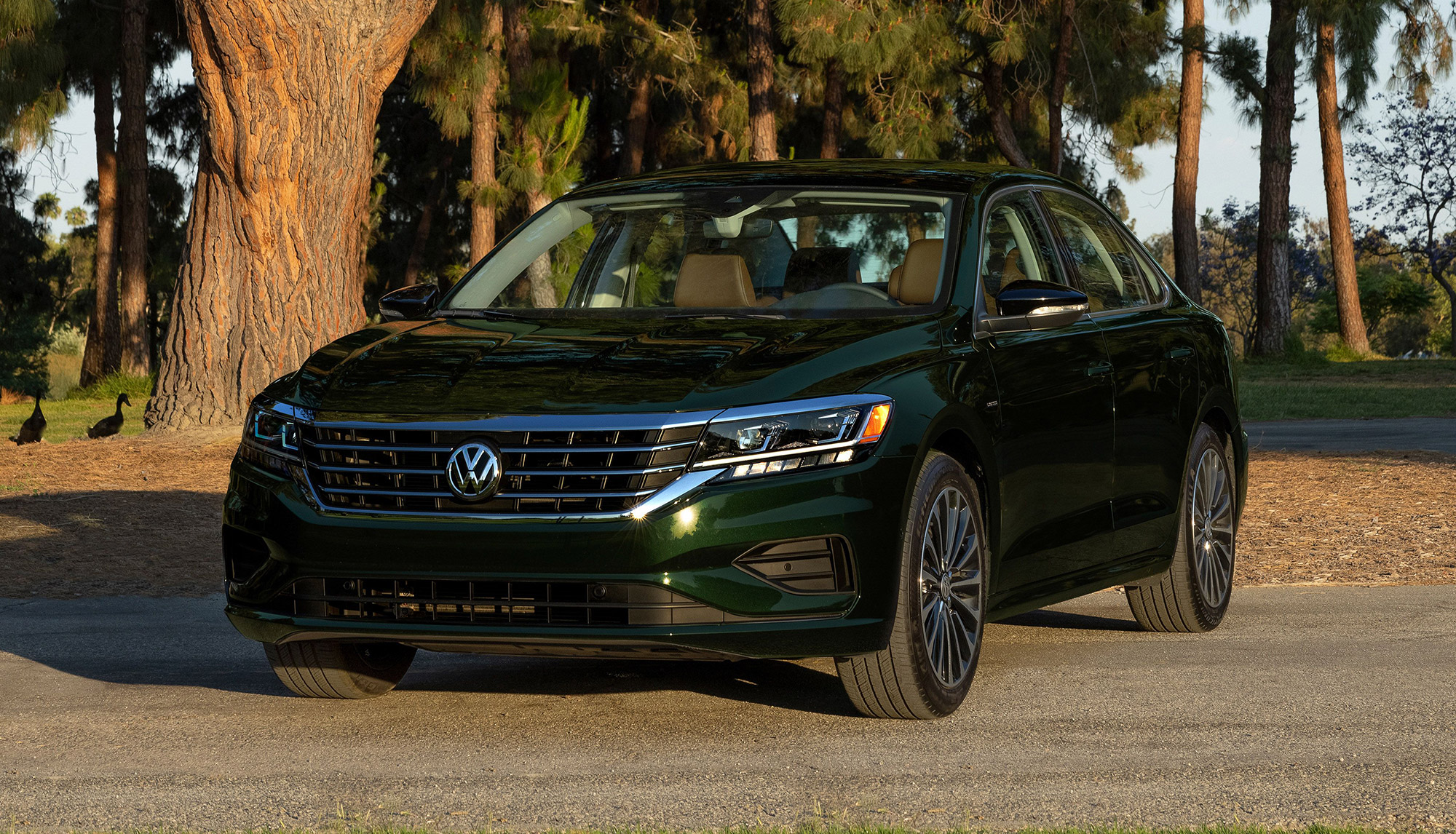HCC_SanMateo_Volkswagen_Passat_Img