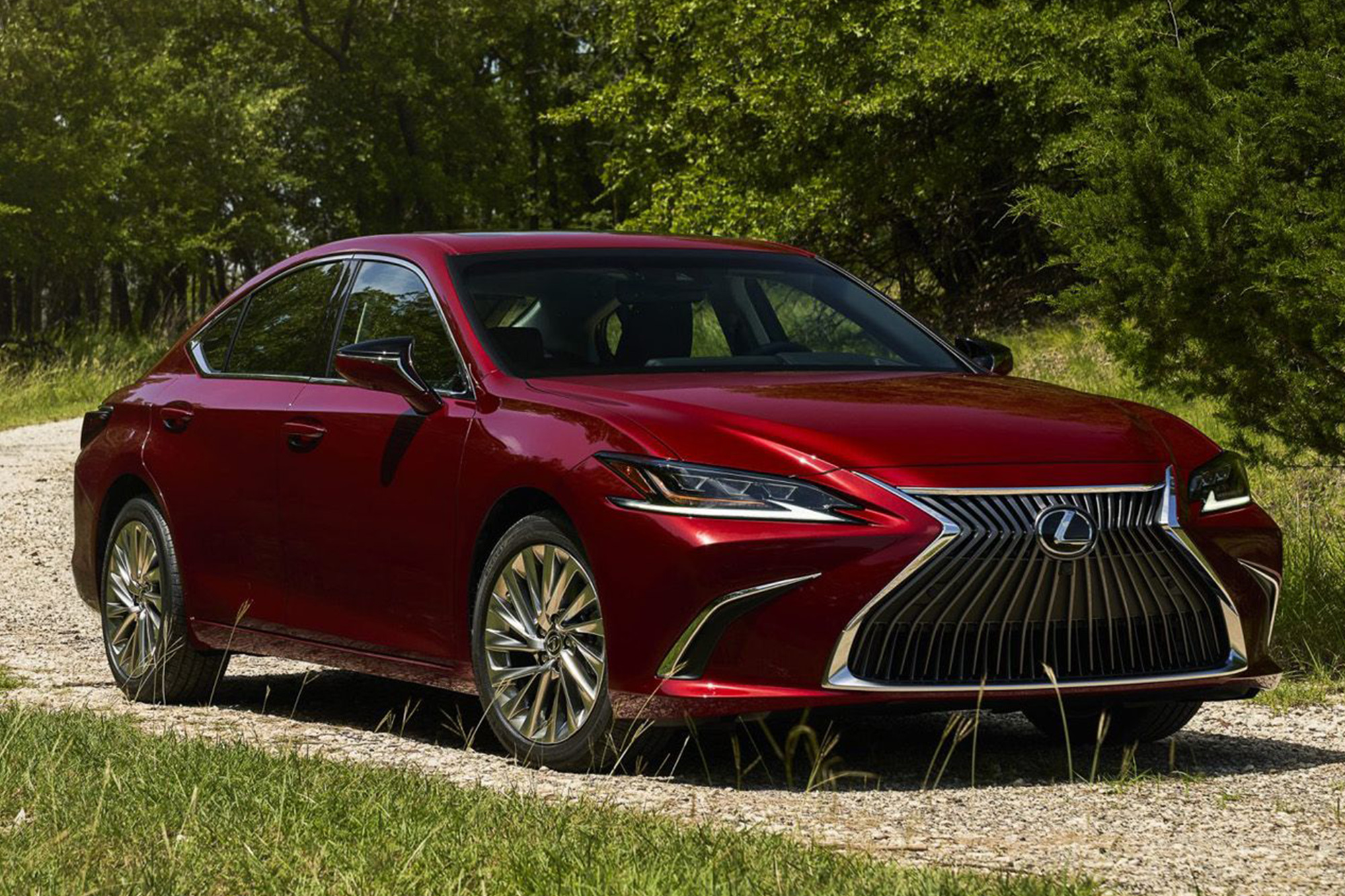 HCC_SanMateo_Lexus_ES_Img