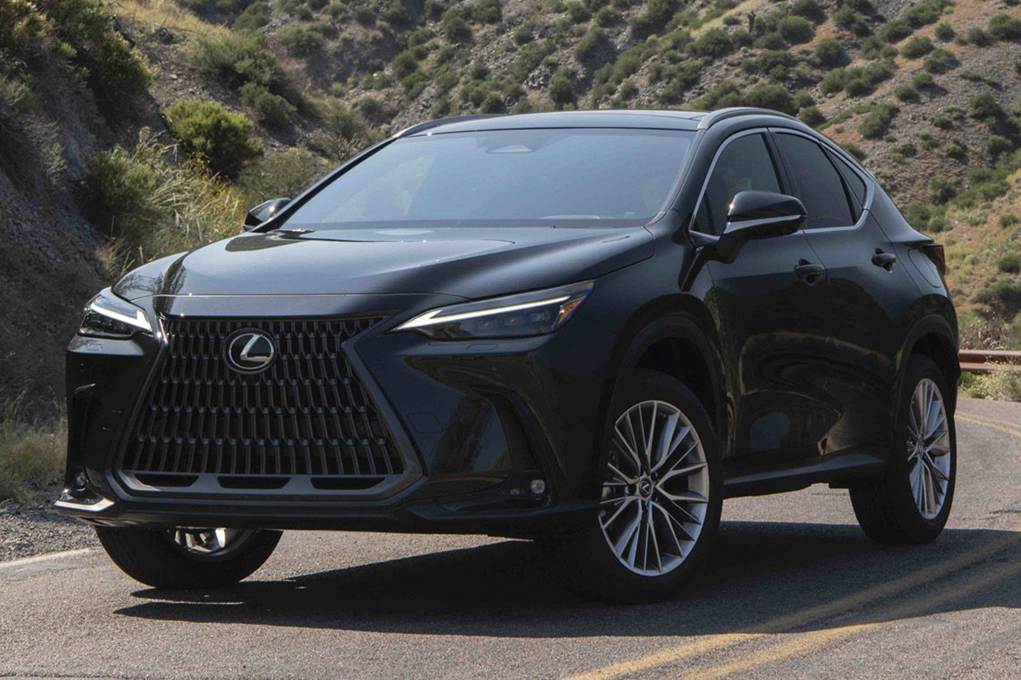 HCC_SanMateo_Lexus_NX_Img
